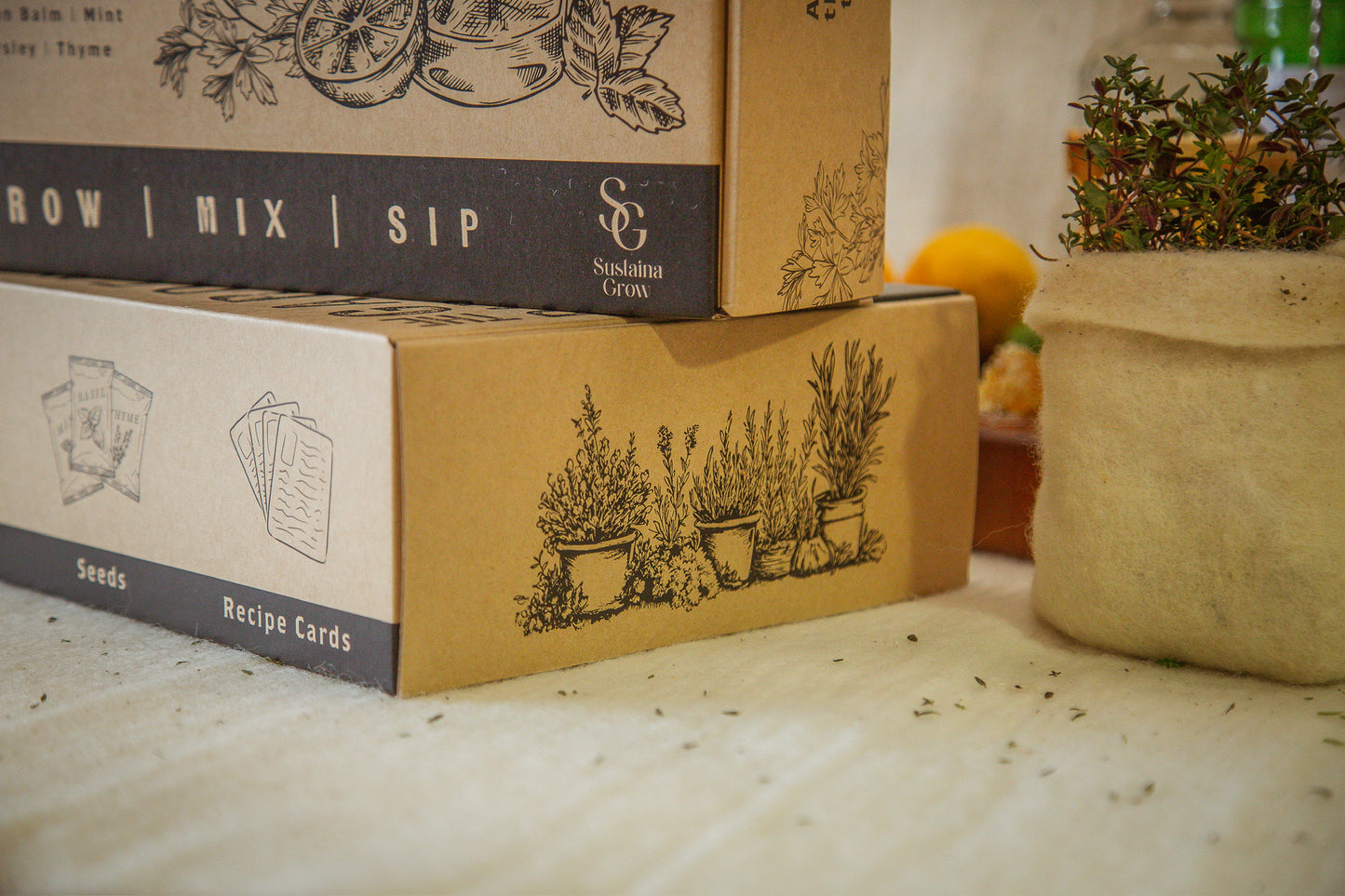 🍸 The Garden Bar Project - Grow. Shake. Sip.