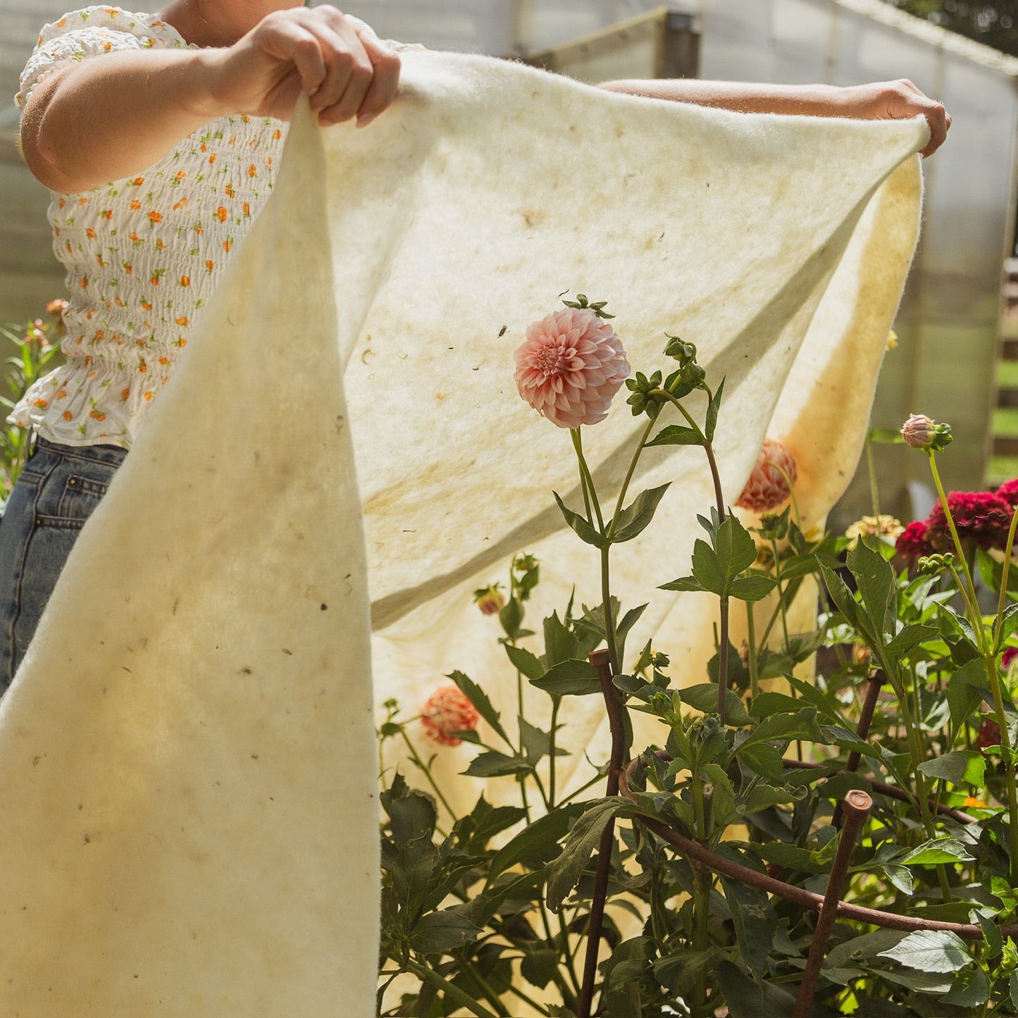 The Wool Frost Cloth