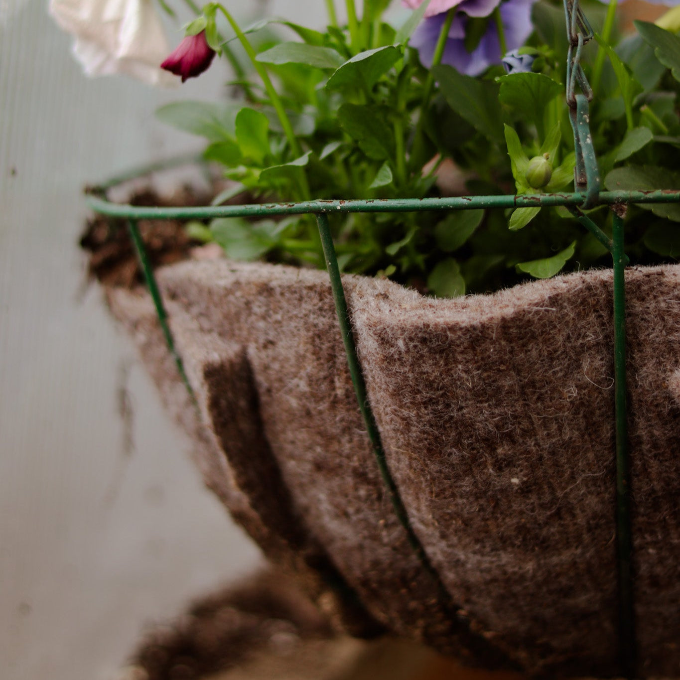 Black Wool Hanging Basket Liner - Limited Edition