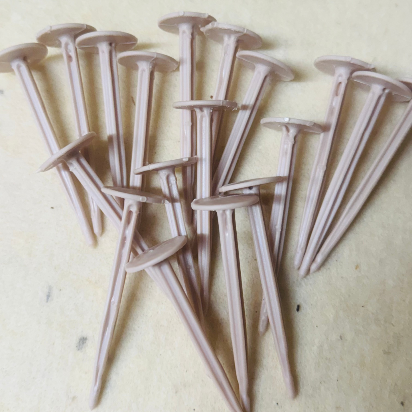 Biodegradable Pegs