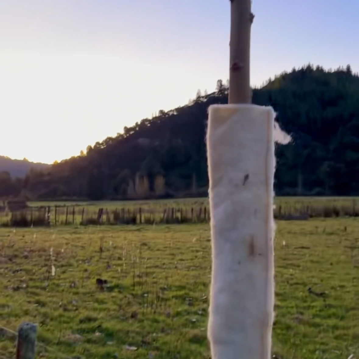 Wool Pole Guard, Willow & Poplar Poles