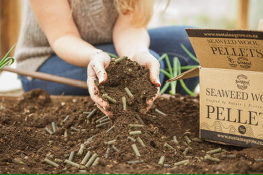 SeaWool Pellets for the Garden