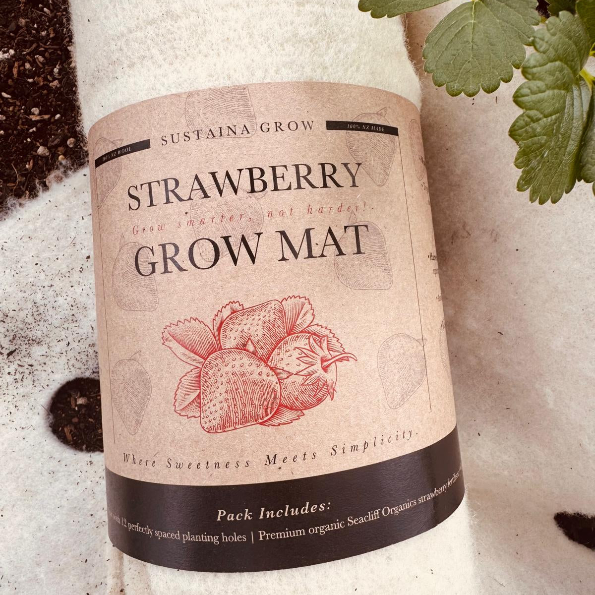 🍓 Strawberry Grow Pack – Naturally Better Berries 🍓