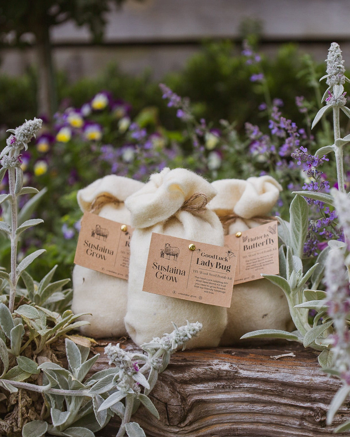 butterfly seed bomb