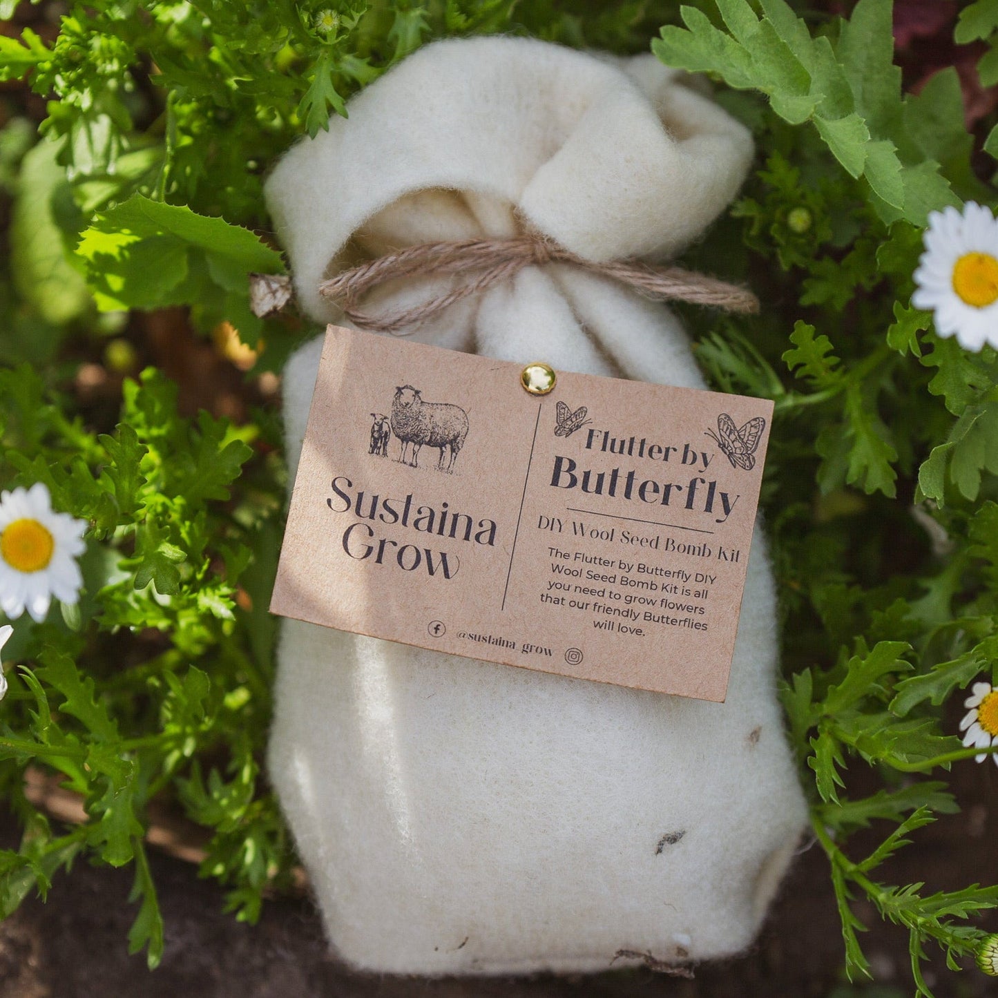 Wool Seed Bomb
Seed bomb