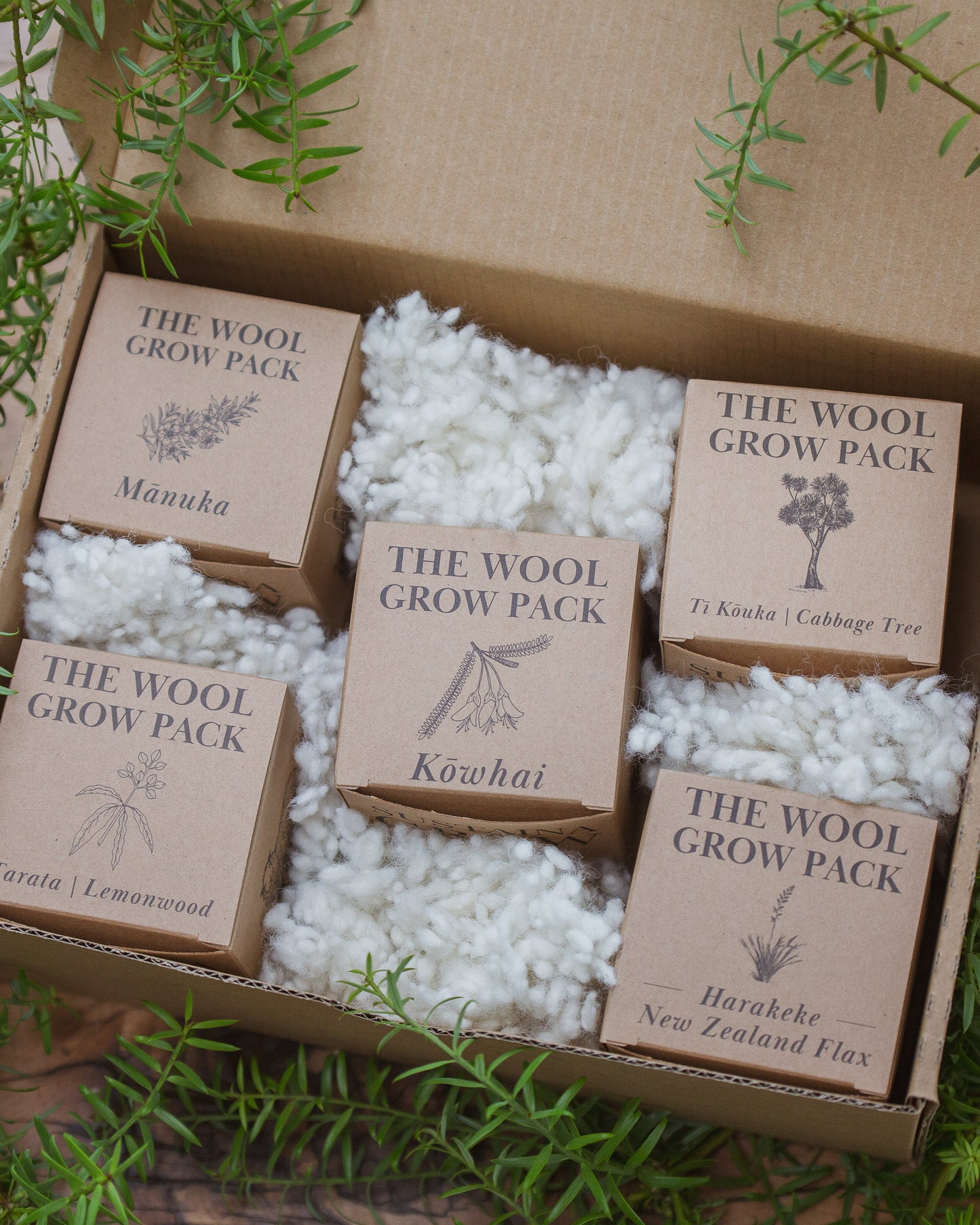 Sustaina Grow Gift Box - Native Trees