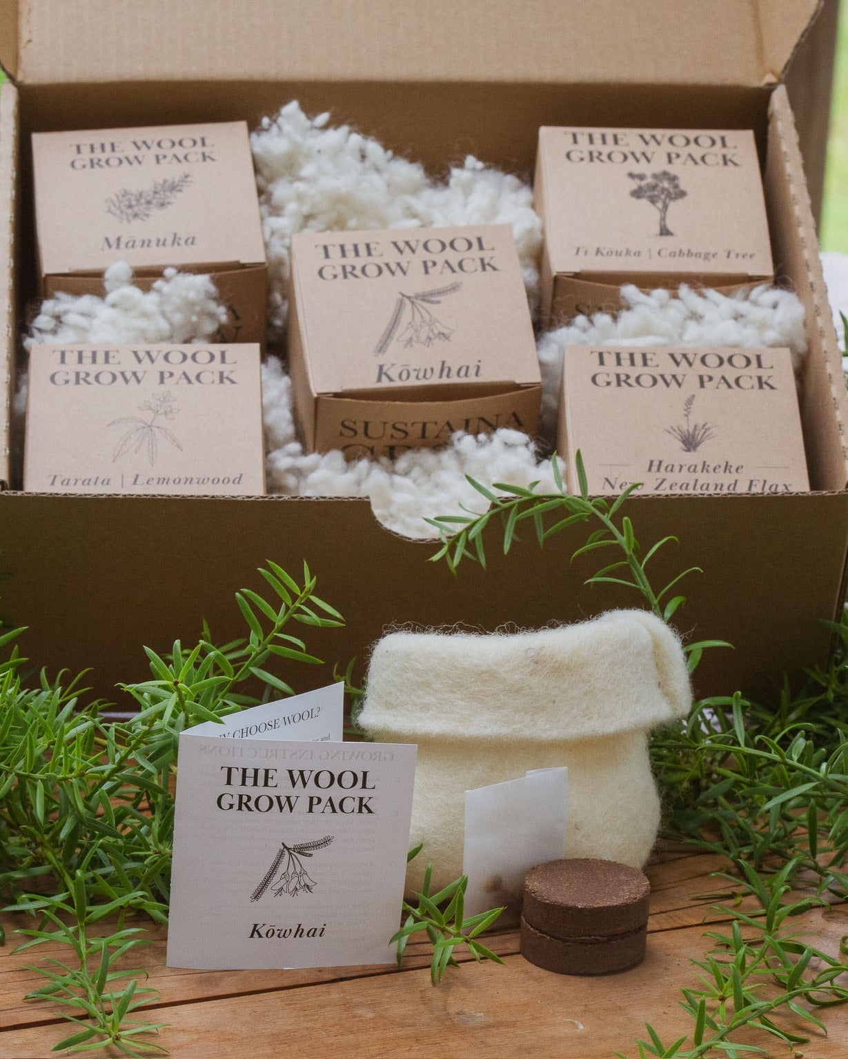 Sustaina Grow Gift Box - Native Trees
