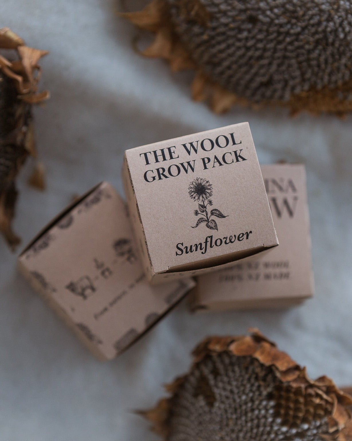wool gift giving
