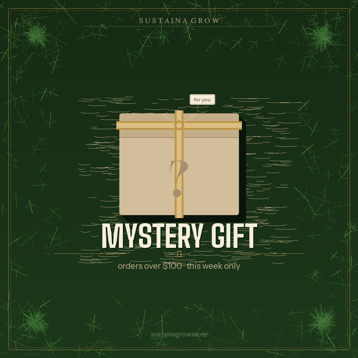 Mystery Gift when purchasing over $100
