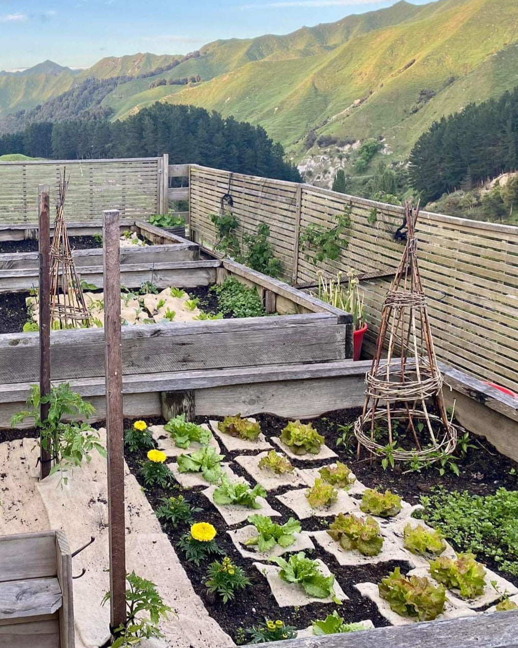 wool vegetable garden