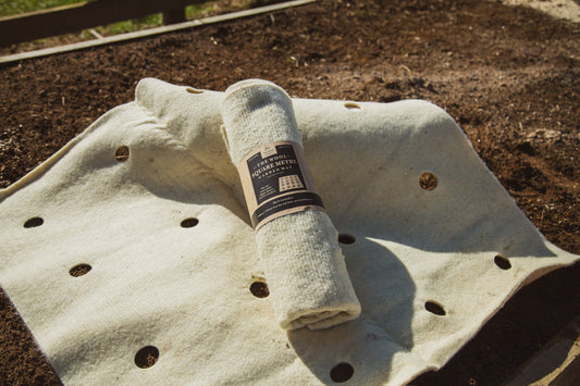 Wool Mulch vs Bark vs Pea Straw: What Is the Best Mulch for New Zealand Gardens?