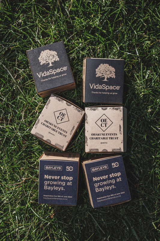 Sustainable Corporate Gifts in New Zealand: Why Businesses Are Going Green 🎁🌿