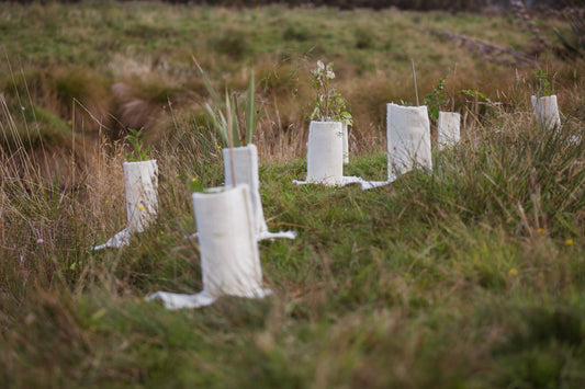 Frequently Asked Questions: Native Planting, Wool, and Wildfire Risk