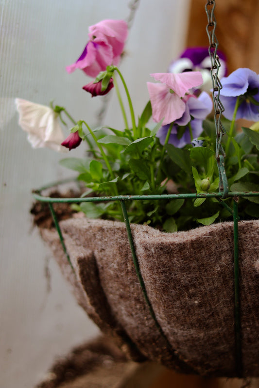 Black Wool Hanging Basket Liner