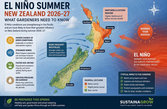 El Niño Summer - How to prepare your garden 