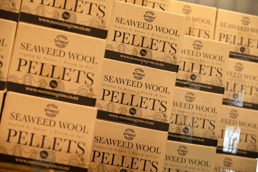 Seawool™ in the Garden: Why Wool Is One of the Most Powerful Natural Soil Conditioners