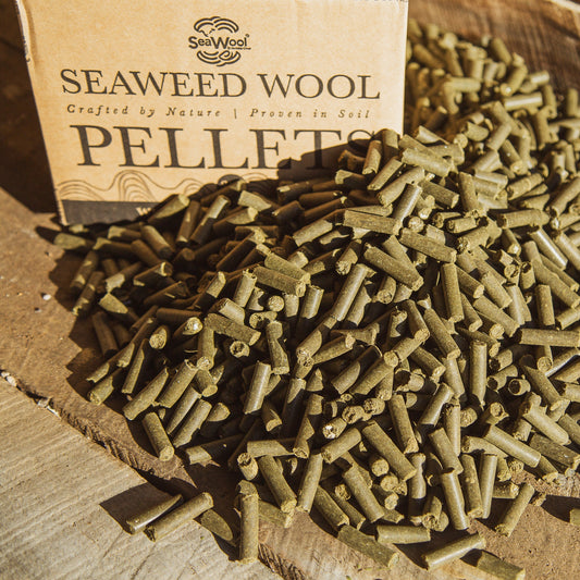 Why Wool Belongs in the Garden