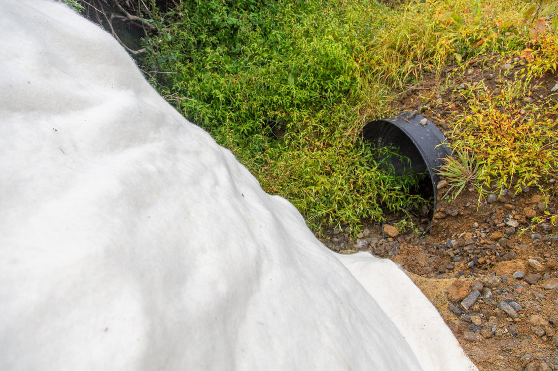 Sustainable Solutions for Erosion Control and Sediment Management on Exposed Slopes