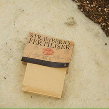 Strawberry Fertiliser
