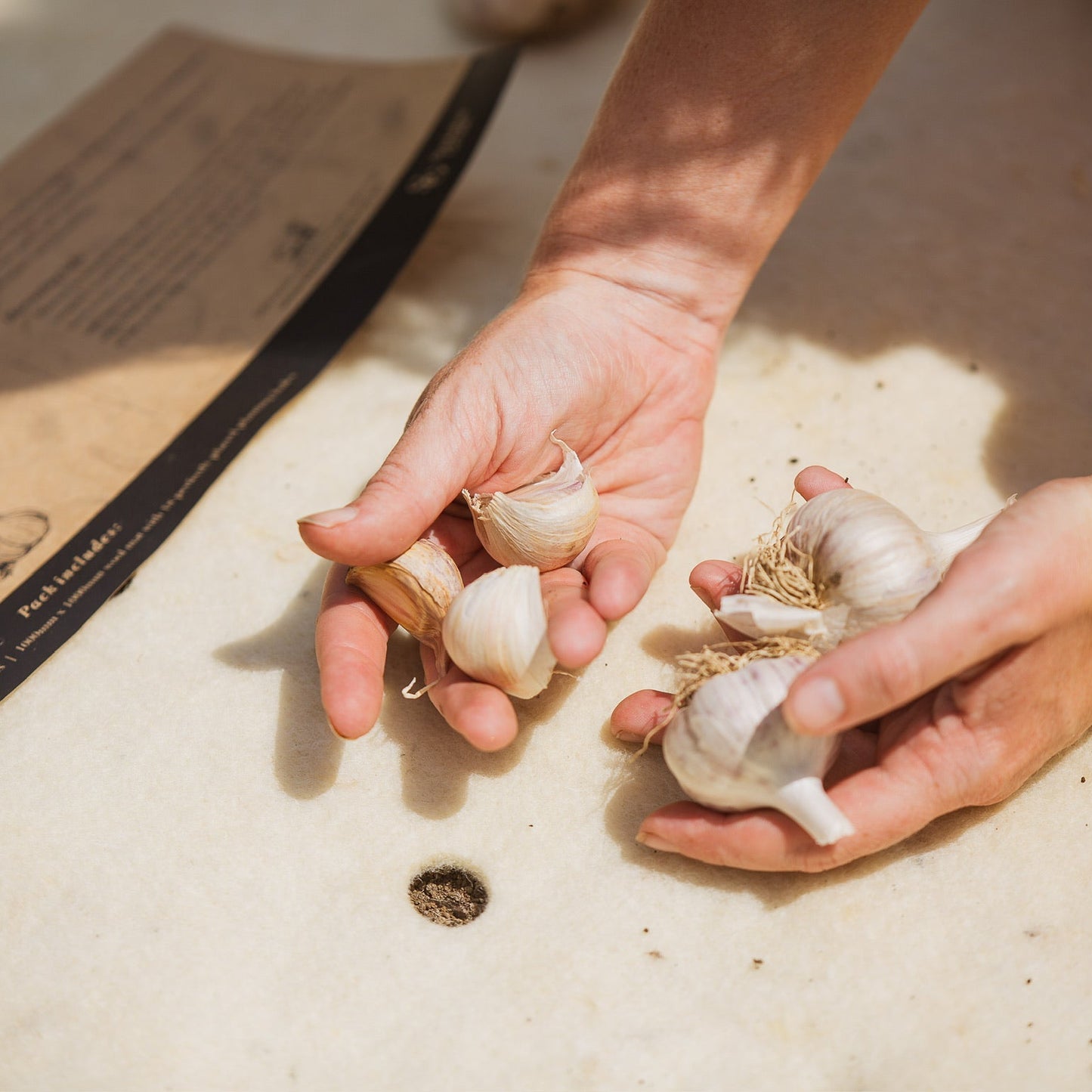 Garlic Grow Mat – Grow Smarter, Not Harder! (Garlic Included)