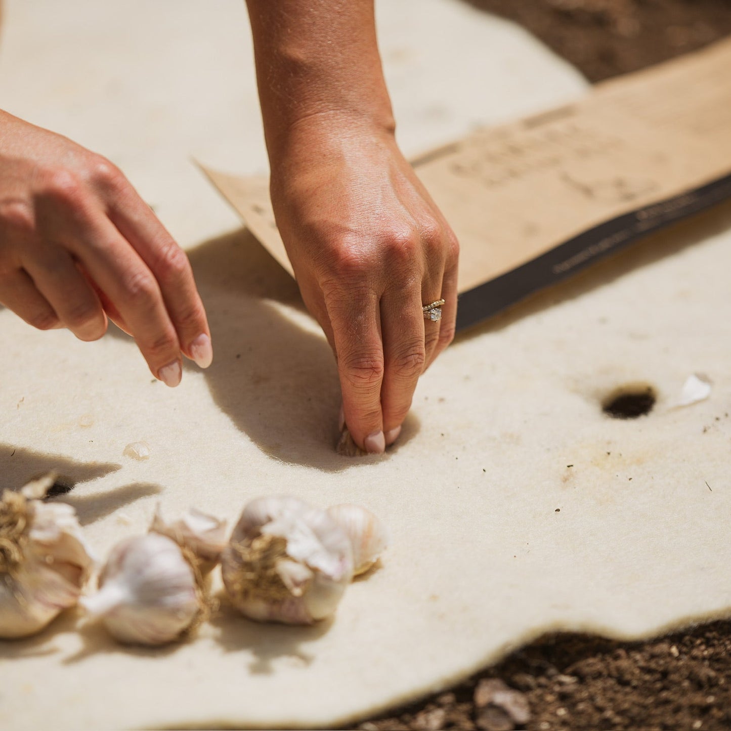 Garlic Grow Mat – Grow Smarter, Not Harder! (Garlic Included)