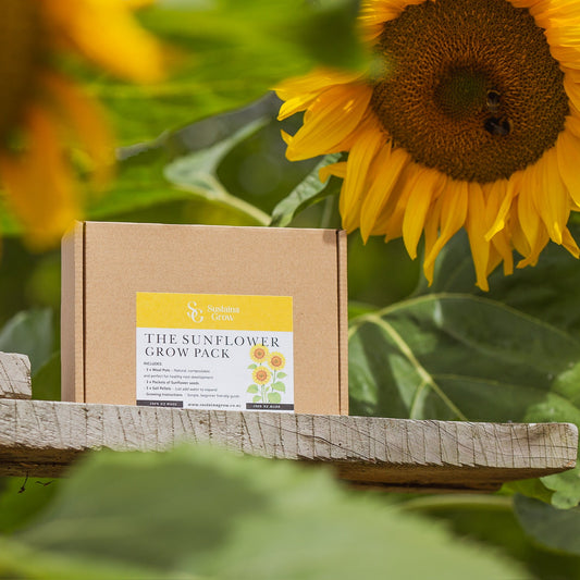 The Sunflower Grow Pack