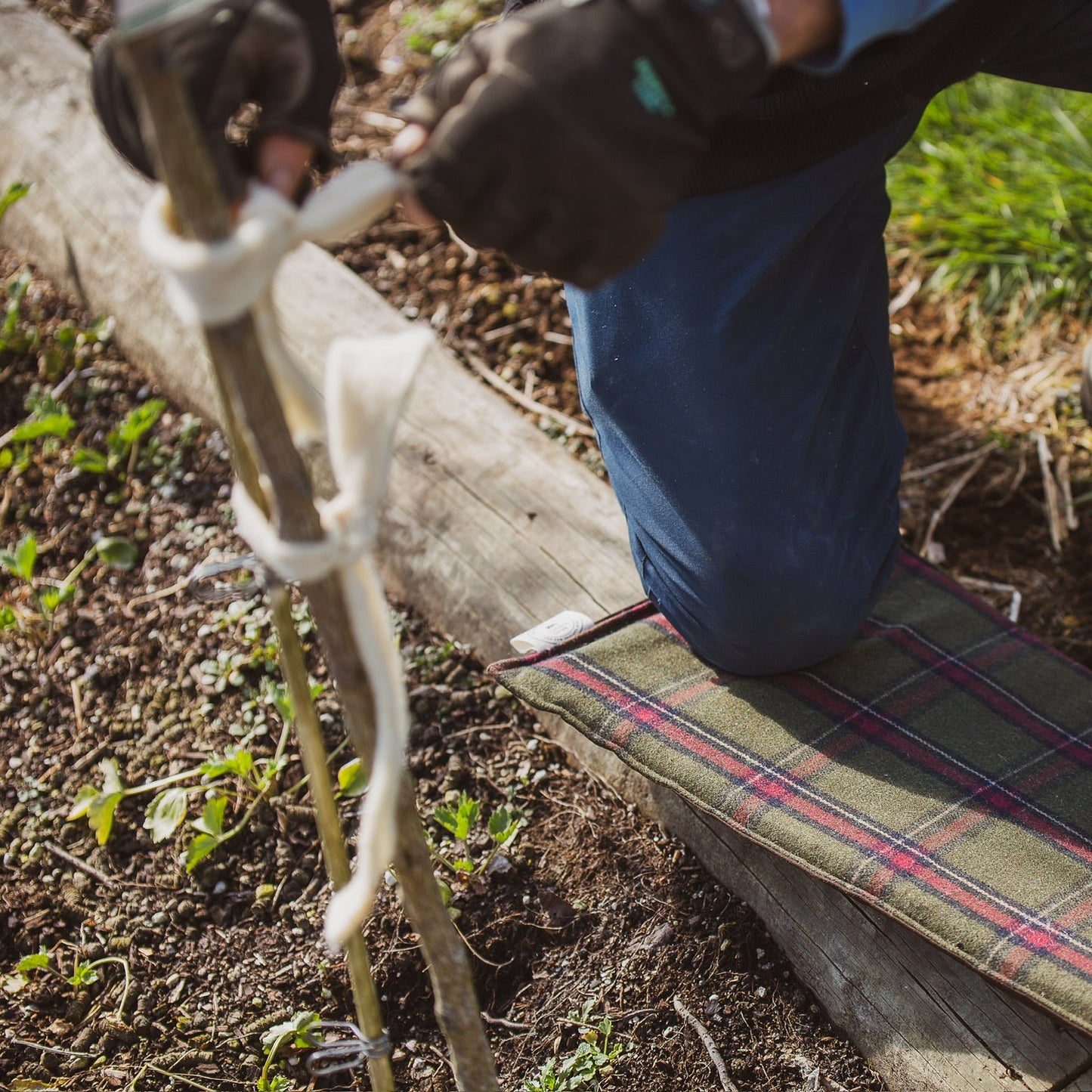 The Wool Kneeling Pad
