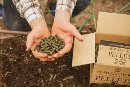 SeaWool™ - Seaweed infused Wool Pellets