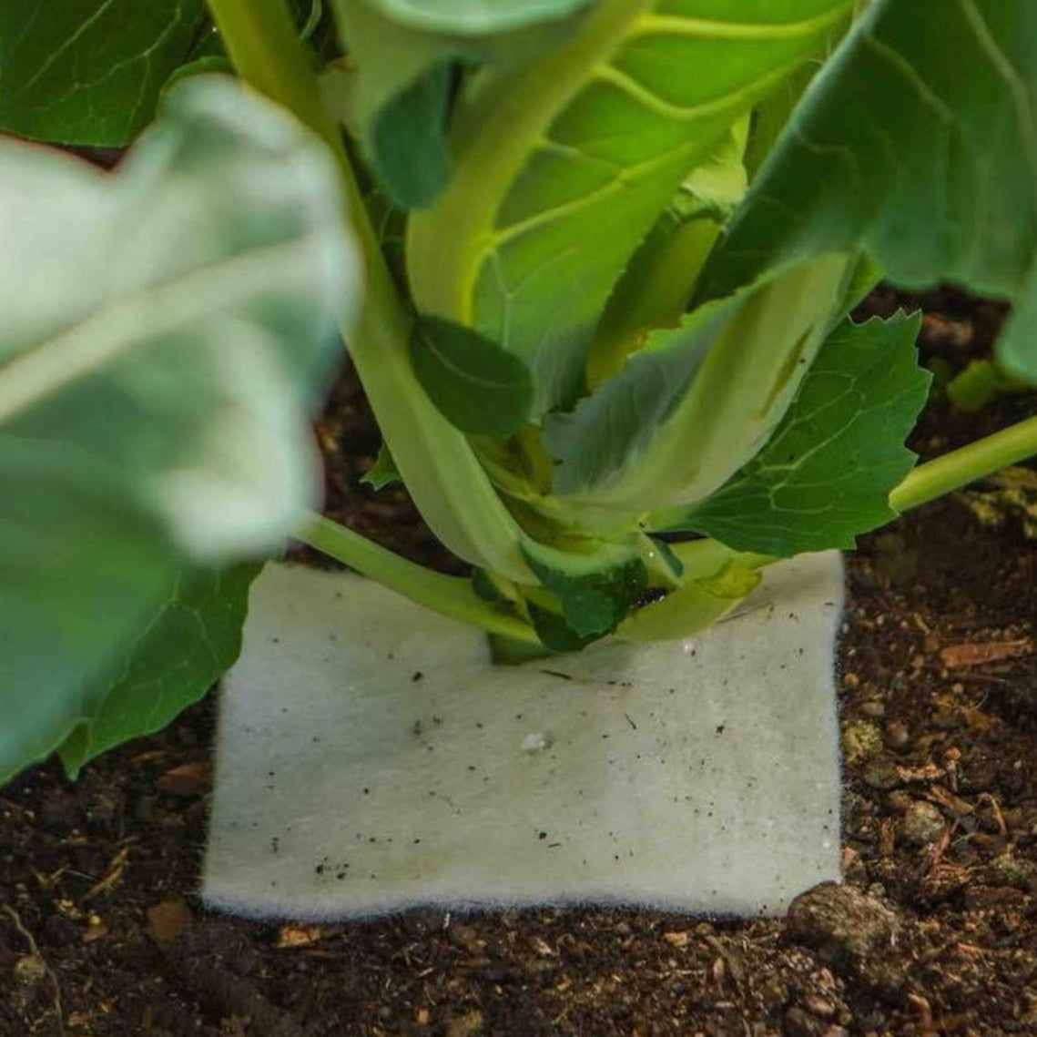 wool mulch mat