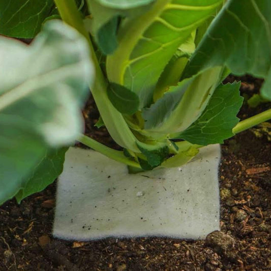wool mulch mat