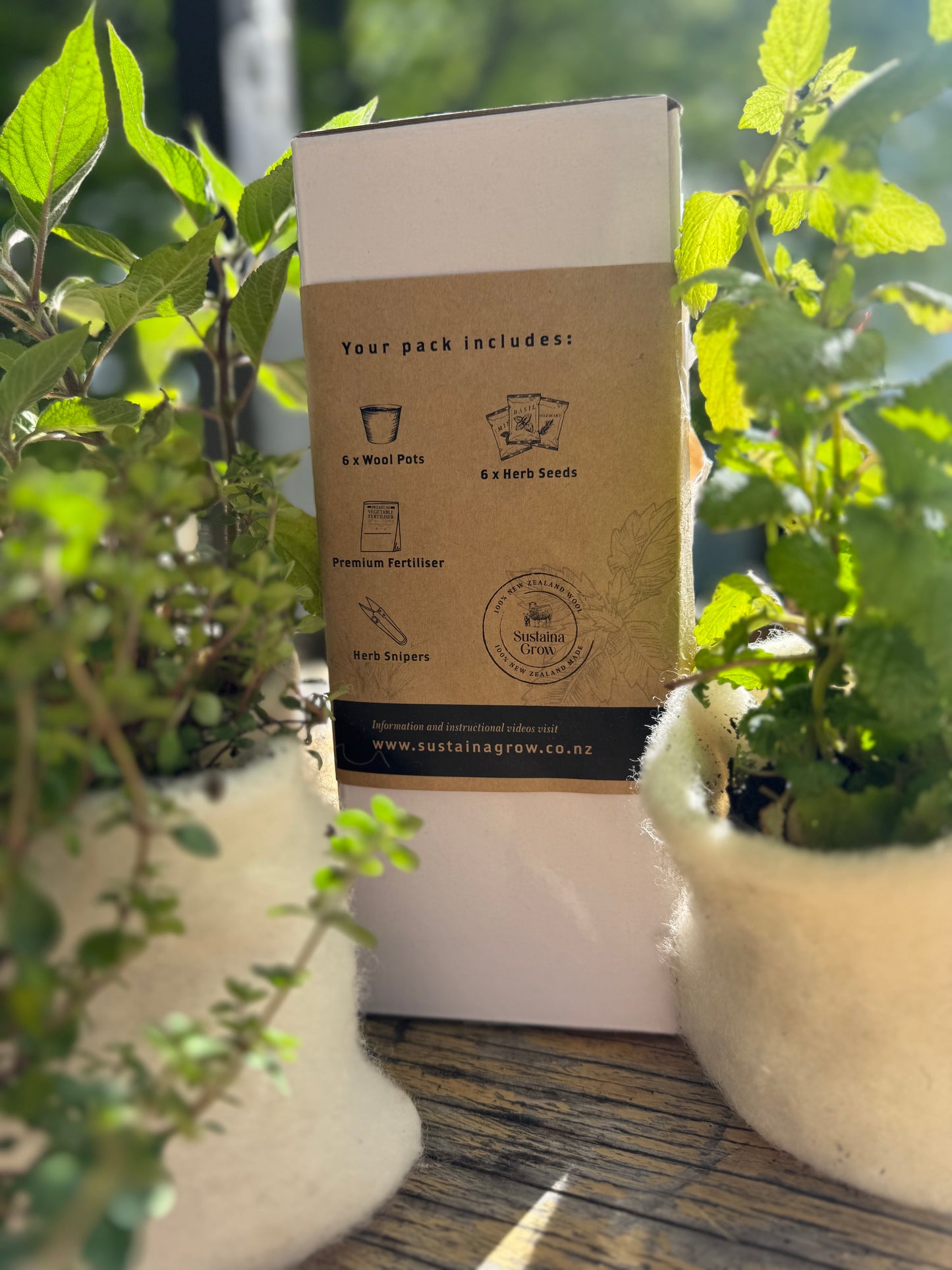 🌿The Herb Grow Pack