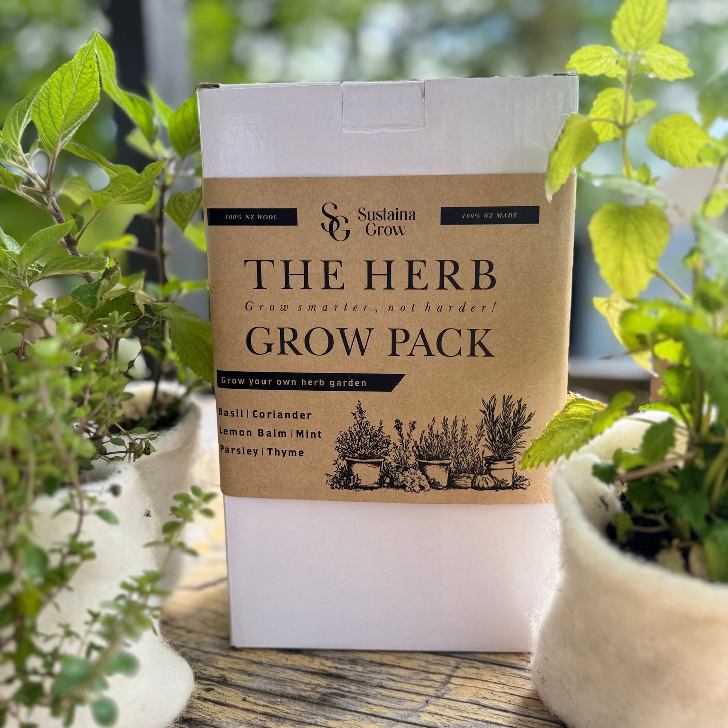 🌿The Herb Grow Pack