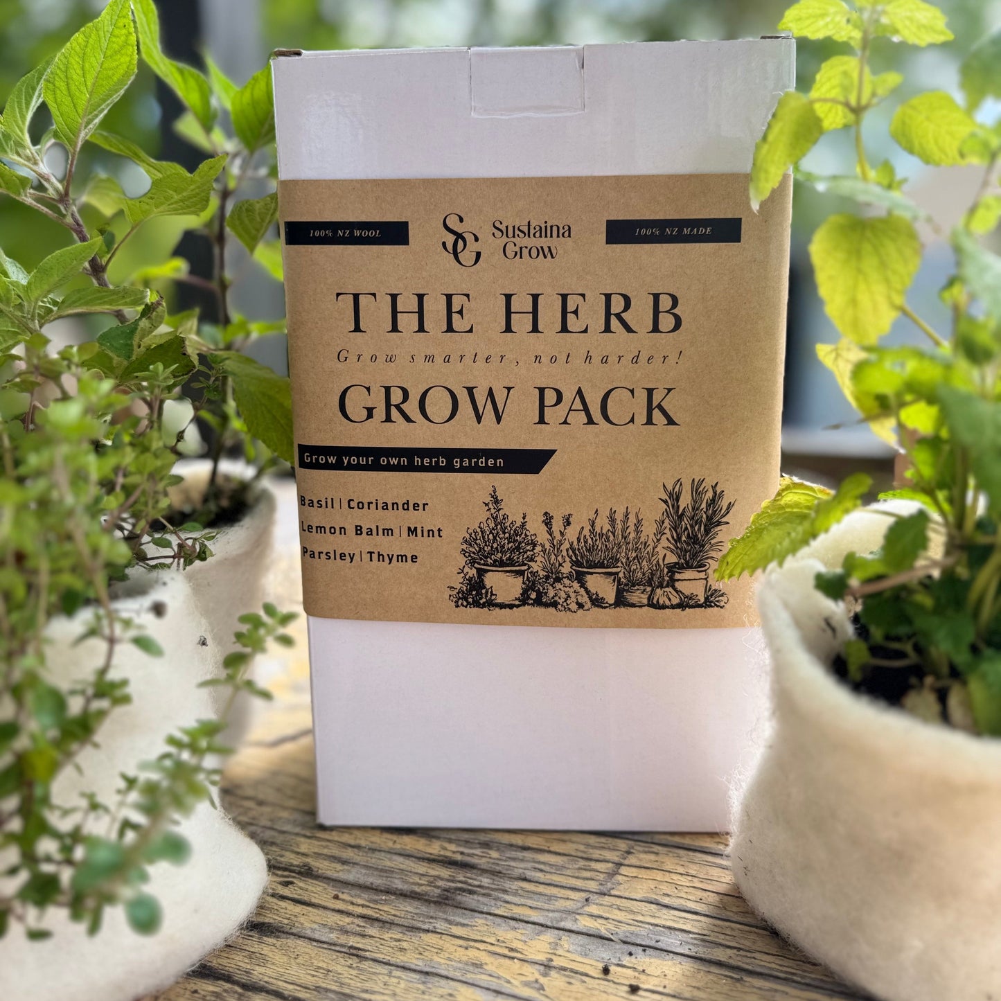 🌿The Herb Grow Pack