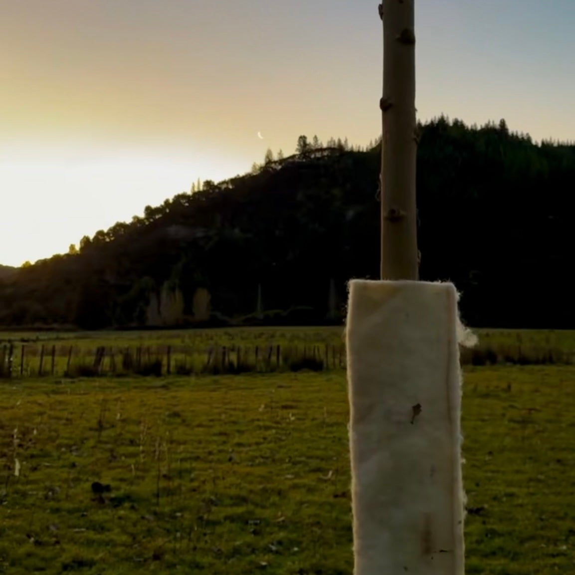 Wool Pole Guard,  Willow & Poplar Poles