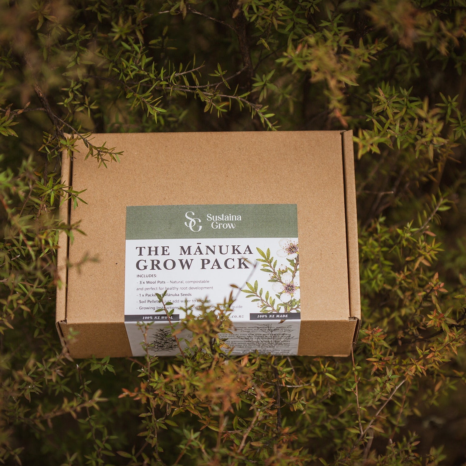 fathers day tree gift nz 