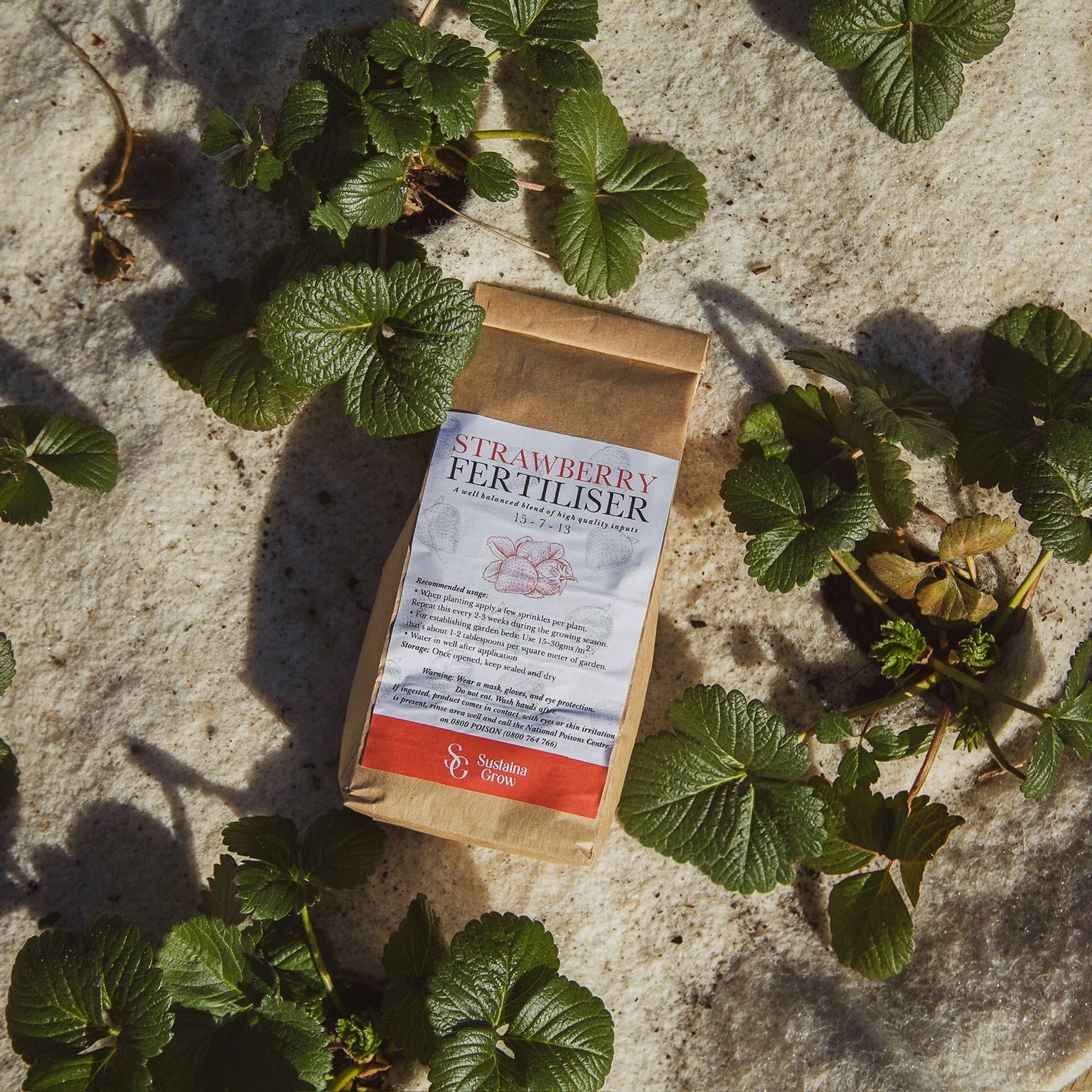 nz strawberry fertiliser 