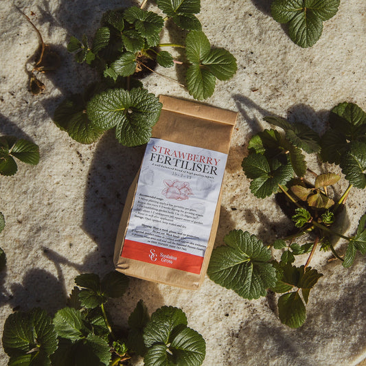 nz strawberry fertiliser 