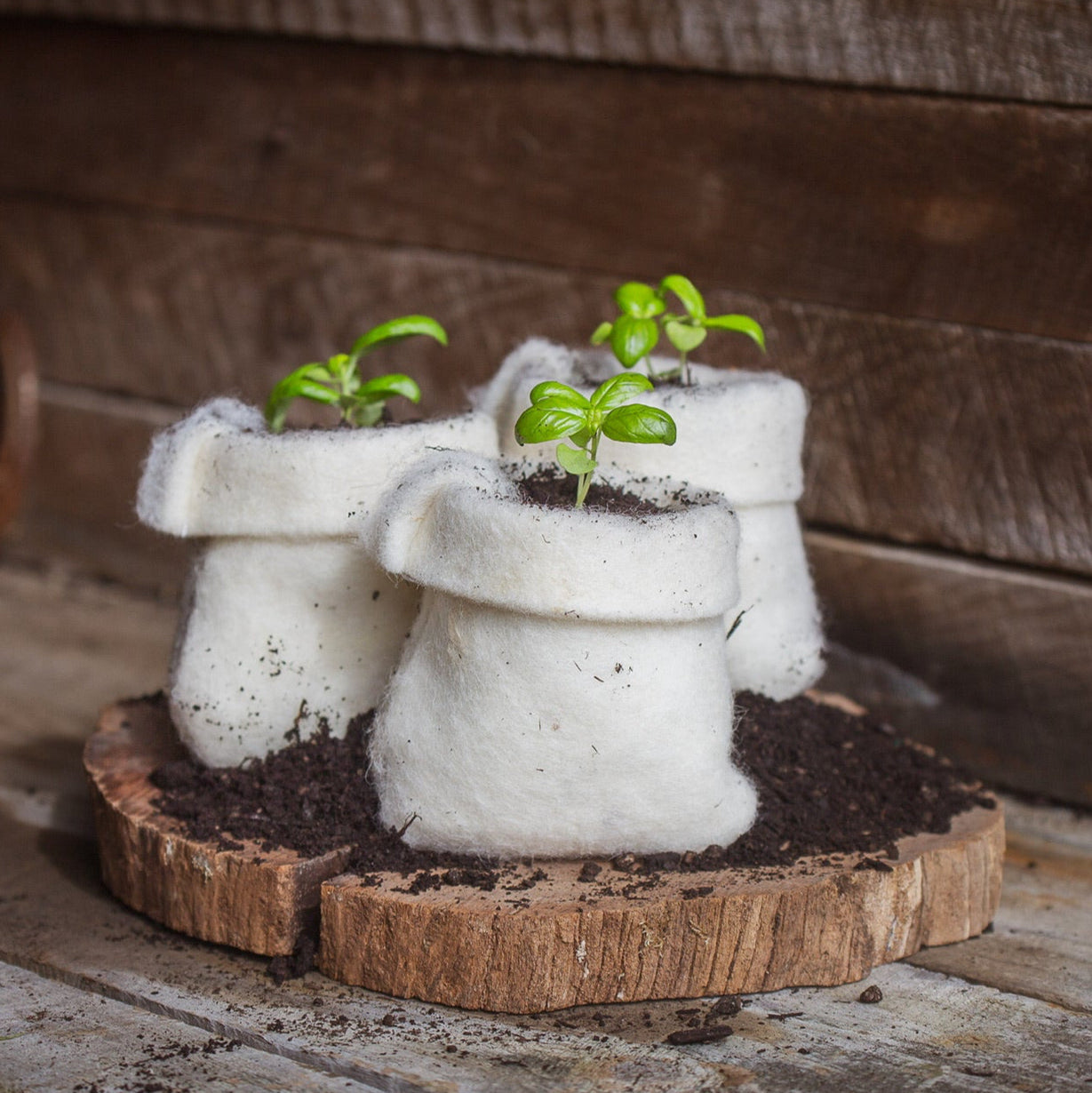wool grow bag