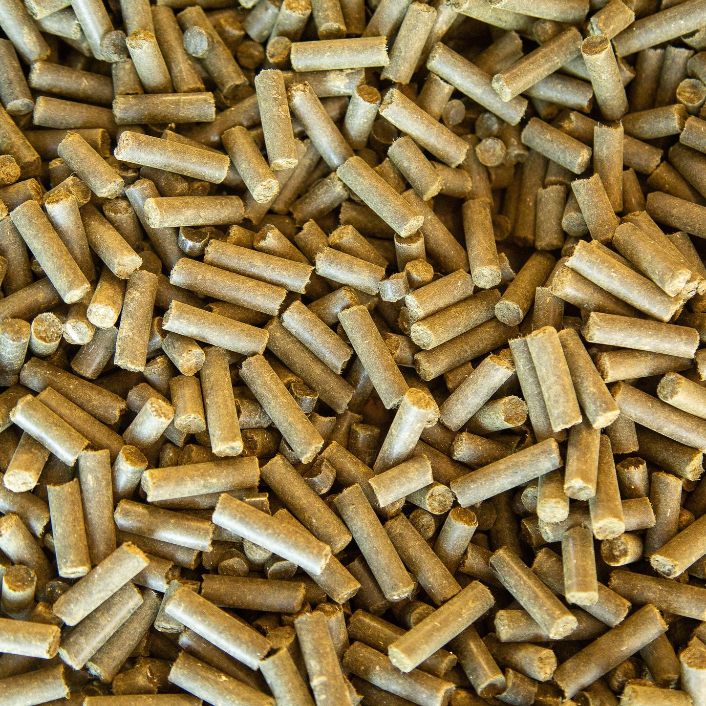 SeaWool™ - Seaweed infused Wool Pellets