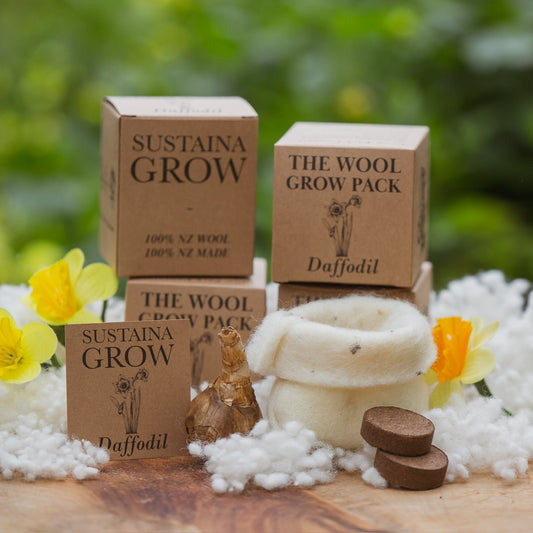 The Daffodil Gift Box
