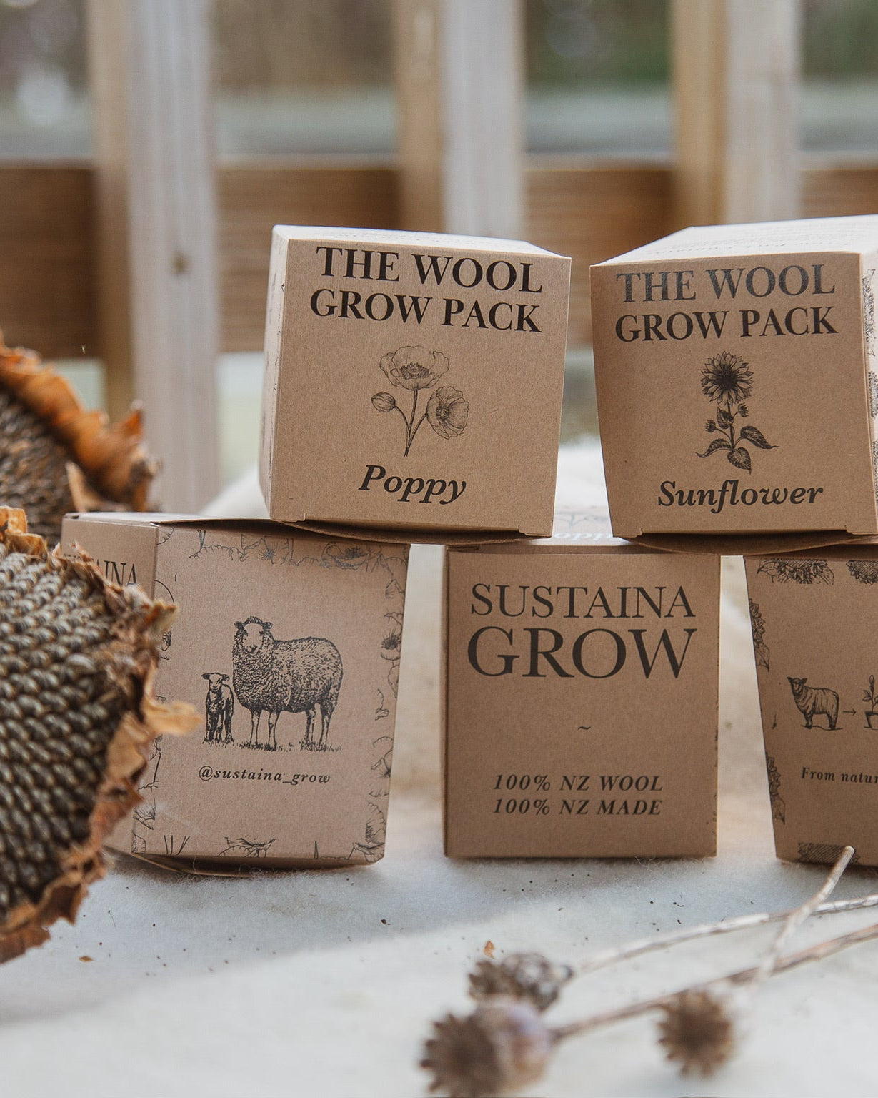 plant corporate gift
