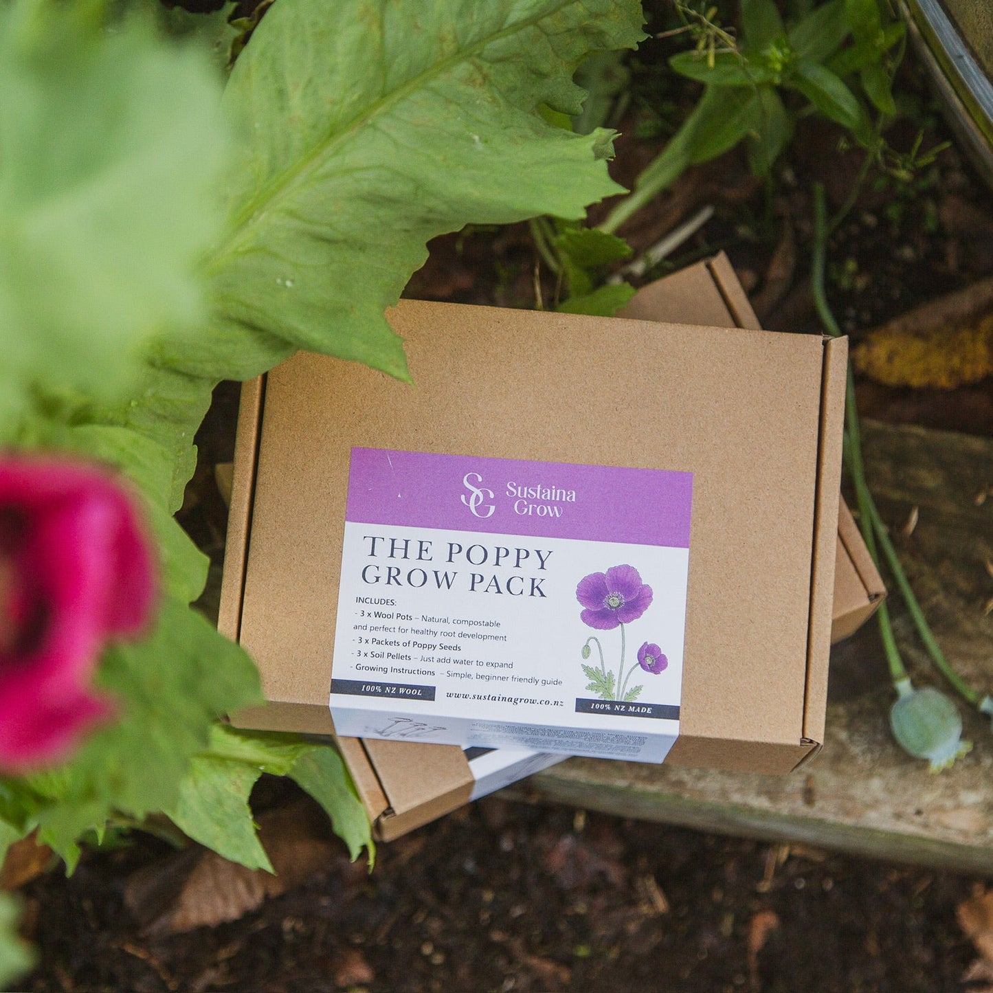 the poppy grow pack 