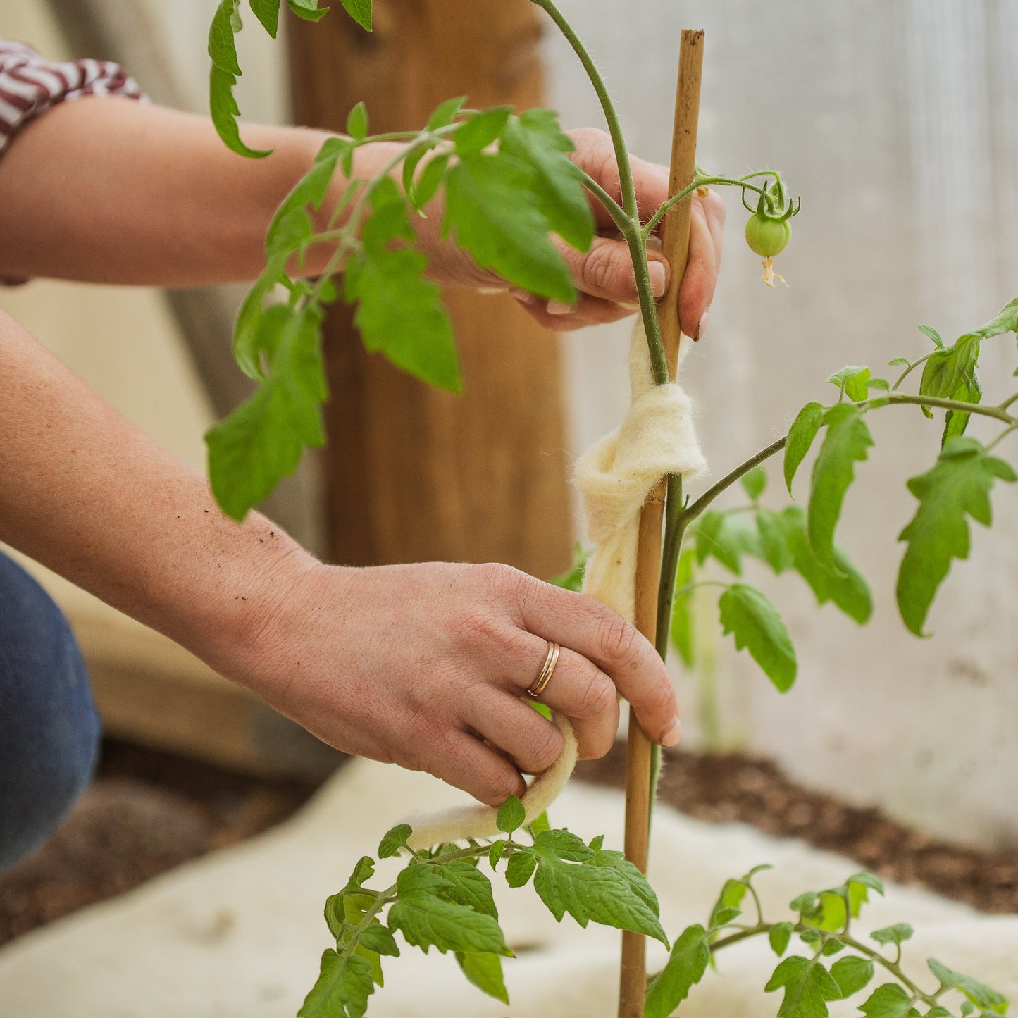 tomato wool plant tie 