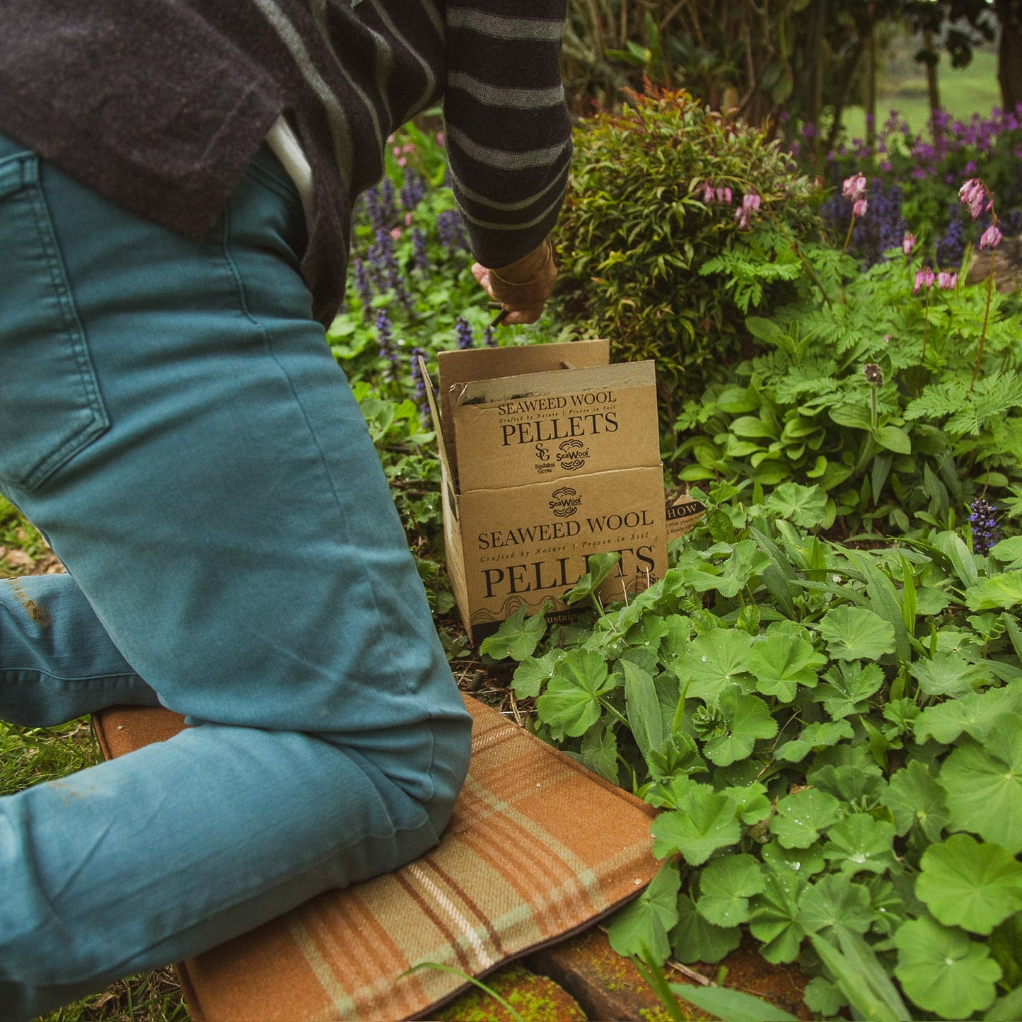 wool kneeling pad with canvas bas 