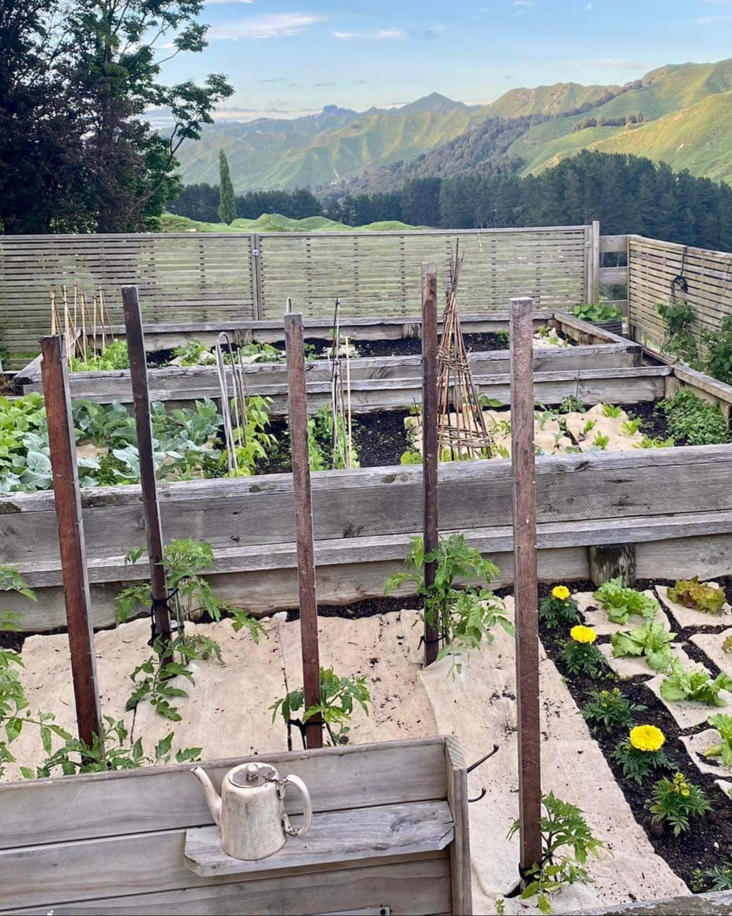 wool vegetable garden